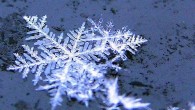 Fiocchi di neve: via alla simulazione I fiocchi di neve sono sempre stati un’attrattiva di adulti e bambini, stregati da quella forma tanto particolare proveniente dal cielo.