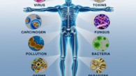 Regole per la salvaguardia del sistema immunitario Prodotti snellenti, diete, farmaci per la prevenzione delle malattie…quanto c’è di vero in tutto questo?